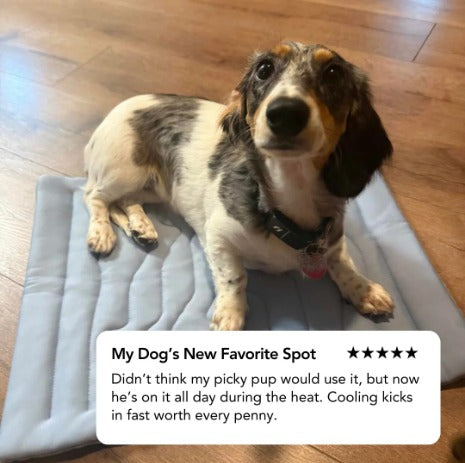 𝗣𝗲𝘁𝗺𝗼𝘀𝗽𝗵𝗲𝗿𝗲™ 𝗧𝗲𝗺𝗽𝗕𝗮𝗹𝗮𝗻𝗰𝗲 𝗠𝗮𝘁