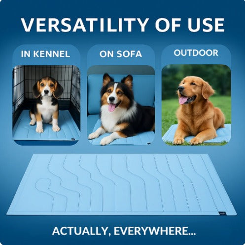 𝗣𝗲𝘁𝗺𝗼𝘀𝗽𝗵𝗲𝗿𝗲™ 𝗧𝗲𝗺𝗽𝗕𝗮𝗹𝗮𝗻𝗰𝗲 𝗠𝗮𝘁