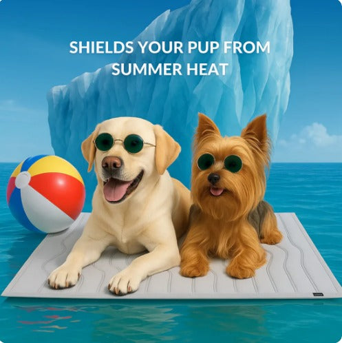 𝗣𝗲𝘁𝗺𝗼𝘀𝗽𝗵𝗲𝗿𝗲™ 𝗧𝗲𝗺𝗽𝗕𝗮𝗹𝗮𝗻𝗰𝗲 𝗠𝗮𝘁